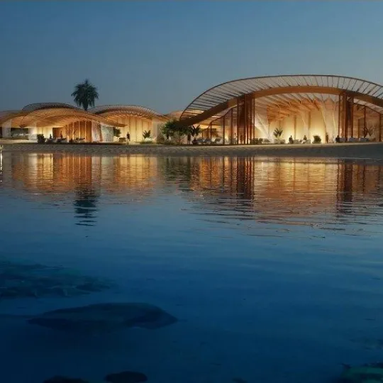 Project Gallery Image